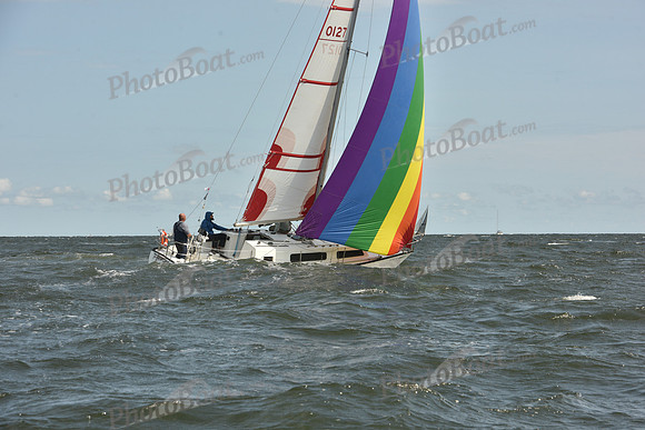 2024 Vineyard Race A_1794