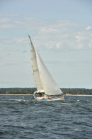 2024 Vineyard Race A_1235