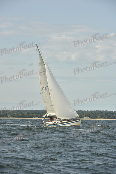 2024 Vineyard Race A_1235