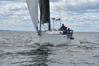 2021 Vineyard Race A 1000