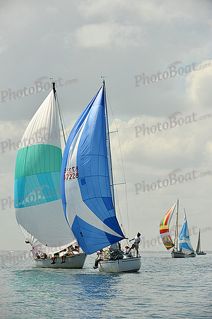 2015 Southern Bay Race Week C 138