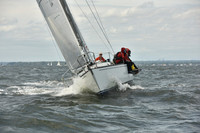 2024 Vineyard Race A_1988