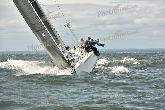 2024 Vineyard Race A_2513