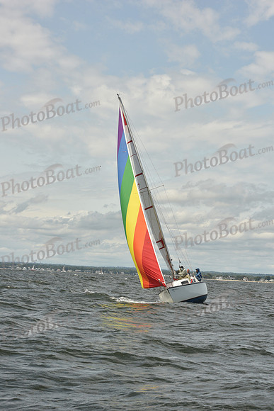 2024 Vineyard Race A_1775