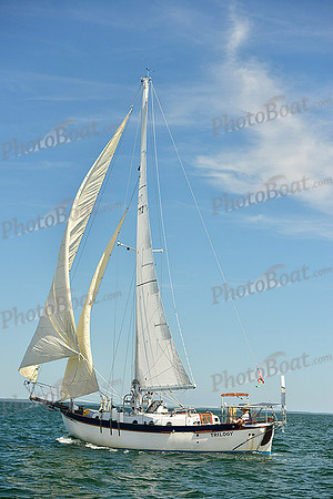 2015 Cape Charles Cup A 1444