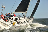 2024 Vineyard Race A_0570