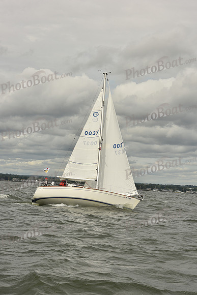 2024 Vineyard Race A_1421