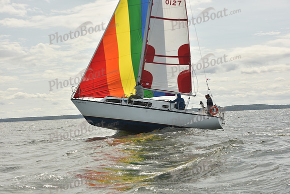 2024 Vineyard Race A_1783