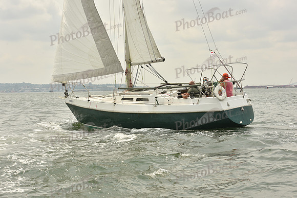 2024 ALIR_0370
