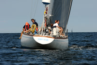 2011 Vineyard Race A 1518
