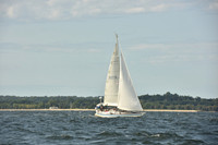 2024 Vineyard Race A_1231