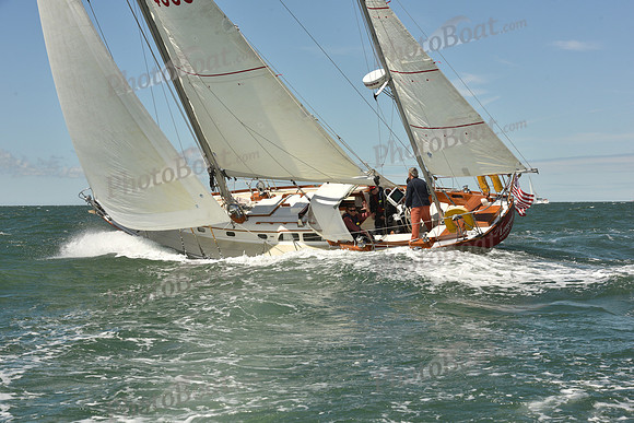 2025 Figawi_0313