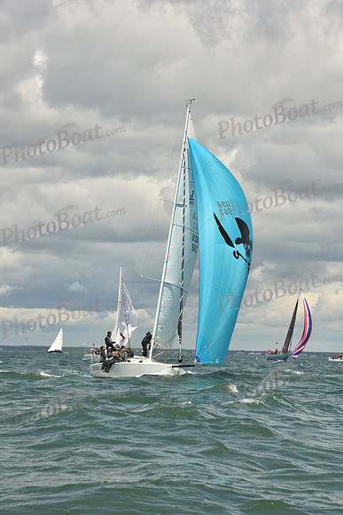 2025 Figawi_1431