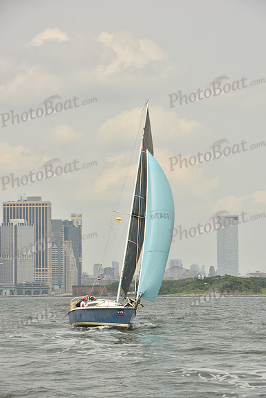 2024 ALIR_0601