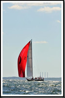 proof_2010_Vineyard_Race_1502