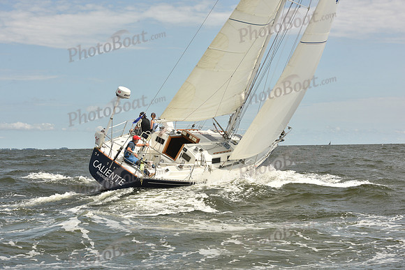 2024 Vineyard Race A_1677