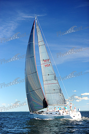2014 Vineyard Race A 1949