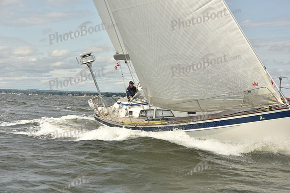 2024 Vineyard Race A_1899