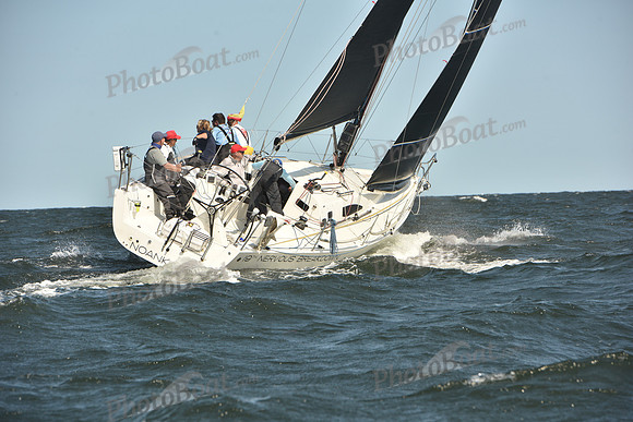 2024 Vineyard Race A_1111