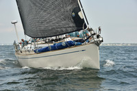 2024 Newport Bermuda_0525