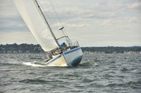 2024 Vineyard Race A_1249