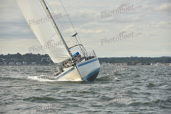 2024 Vineyard Race A_1249