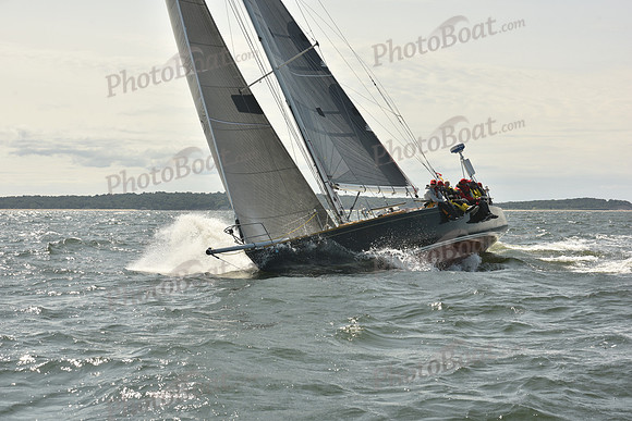 2024 Vineyard Race A_0692