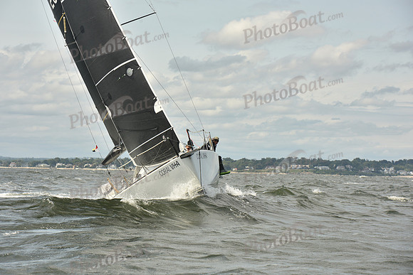 2024 Vineyard Race A_2208