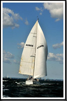 proof_2010_Vineyard_Race_0208