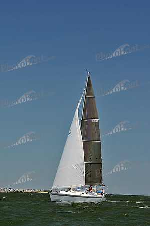 2014 Southern Bay Race Week C 1392