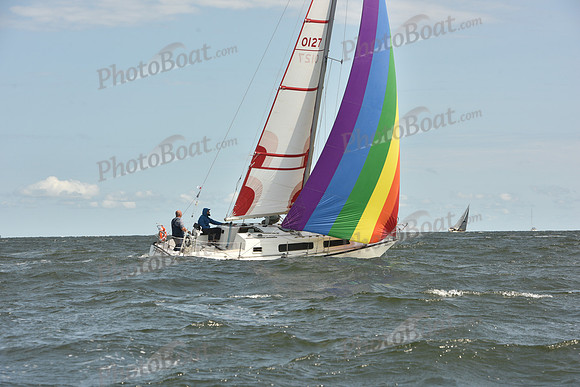 2024 Vineyard Race A_1795