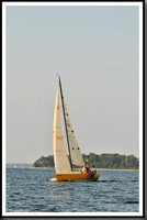 proof_2010 Gov Cup C 499