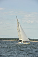2024 Vineyard Race A_1236
