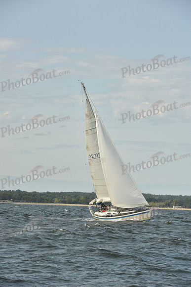 2024 Vineyard Race A_1236