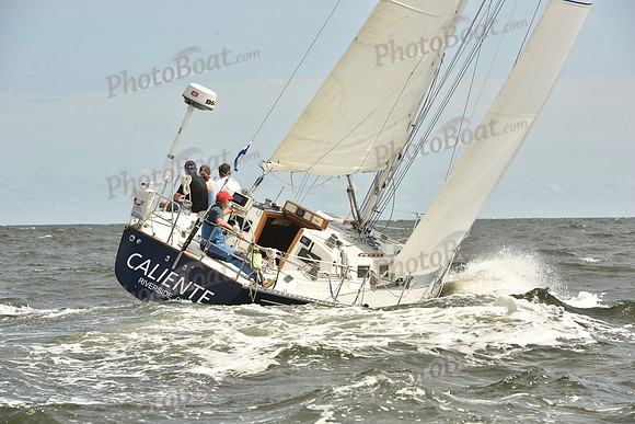 2024 Vineyard Race A_1680
