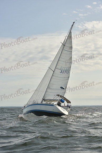 2024 Vineyard Race A_1265