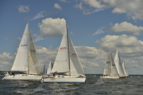 2016 Vineyard Race A_0239