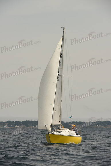 2016 Chester Race Week C_1305