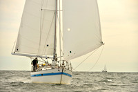 2017 Vineyard Race B_0251