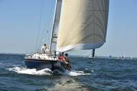 2019 Vineyard Race A_0545