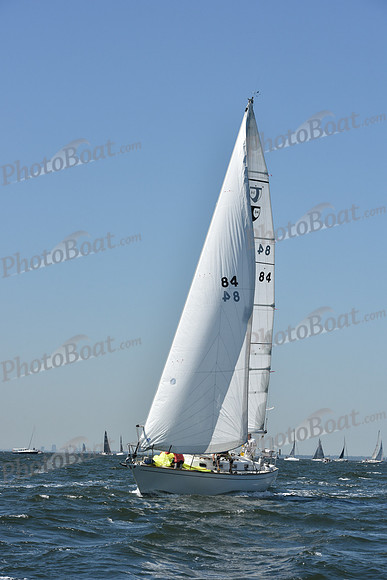 2019 Vineyard Race A_0249
