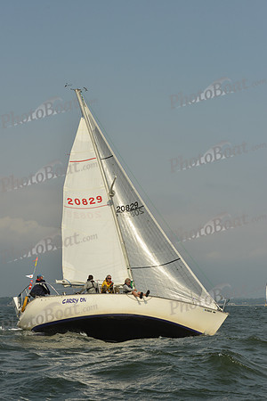 2015 Vineyard Race A 395