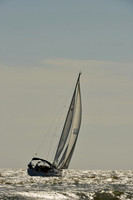 2016 Charleston Race Week C 0263