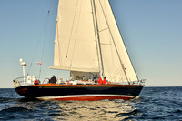 2016 Newport Bermuda Race_2376