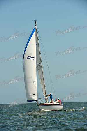 2015 Southern Bay Race Week C 1347