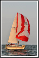 proof_2010 Gov Cup A 1190