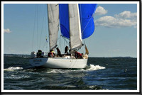 proof_2010_Vineyard_Race_0249