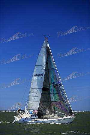 2014 Southern Bay Race Week DB3 254