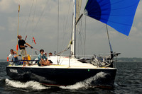 2013 Vineyard Race A 1017