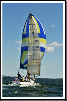 proof_2010_Vineyard_Race_0459